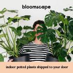 Bloomscape Coupons & Promo Codes