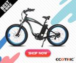 Ecotric Coupons & Promo Codes