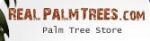 RealPalmTrees.com Coupon Codes