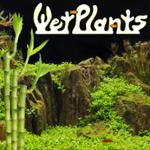 Wetplants Coupons & Promo Codes